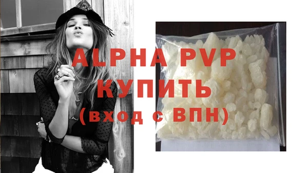 трава Аркадак