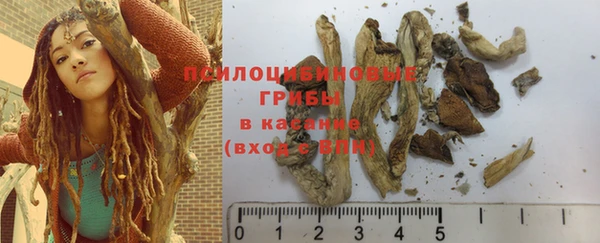 PSILOCYBIN Балабаново