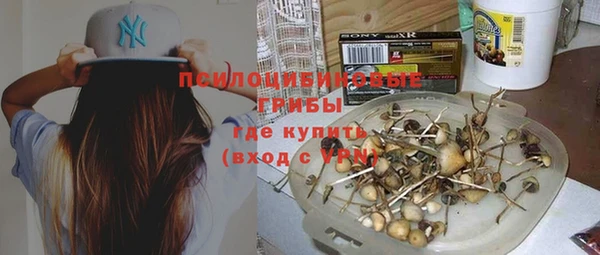 прущие крисы Арсеньев